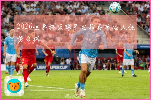 2026世界杯买球平台推荐及各大优势分析