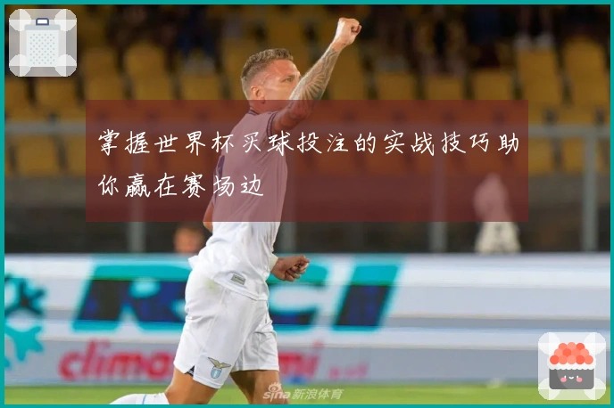 掌握世界杯买球投注的实战技巧助你赢在赛场边