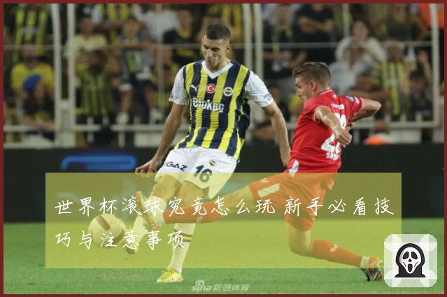 世界杯滚球究竟怎么玩 新手必看技巧与注意事项