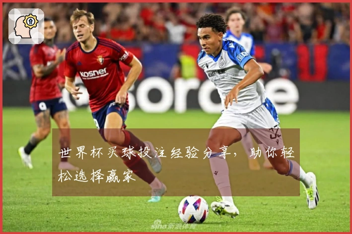 世界杯买球投注经验分享，助你轻松选择赢家