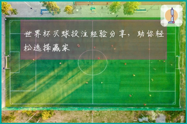 世界杯买球投注经验分享，助你轻松选择赢家