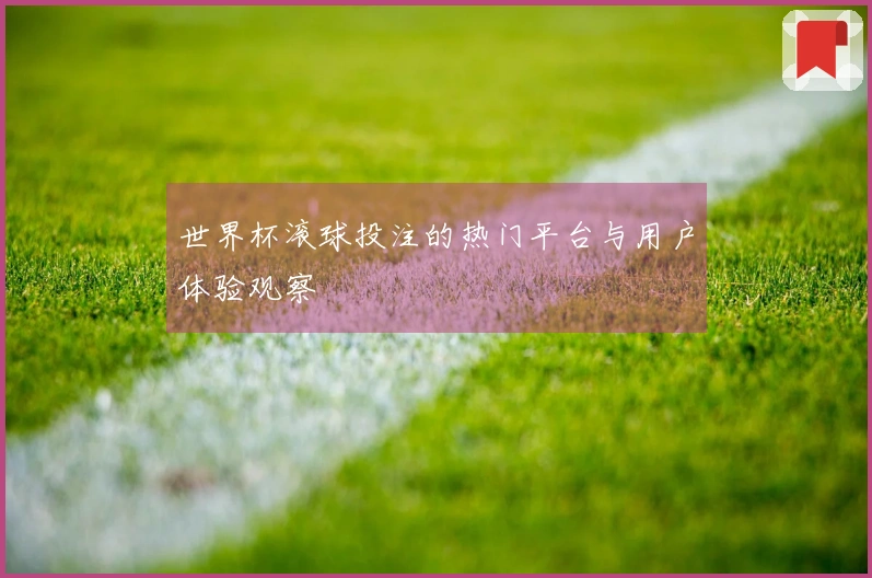 世界杯滚球投注的热门平台与用户体验观察